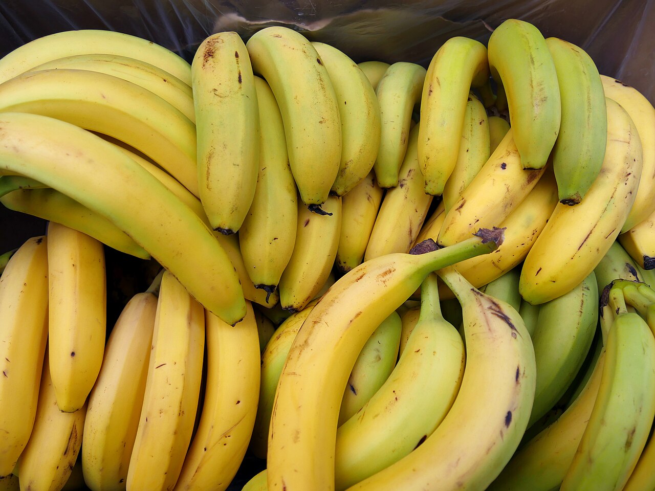 Cajas de plátanos con distinto punto de maduración en el mostrador de una frutería.